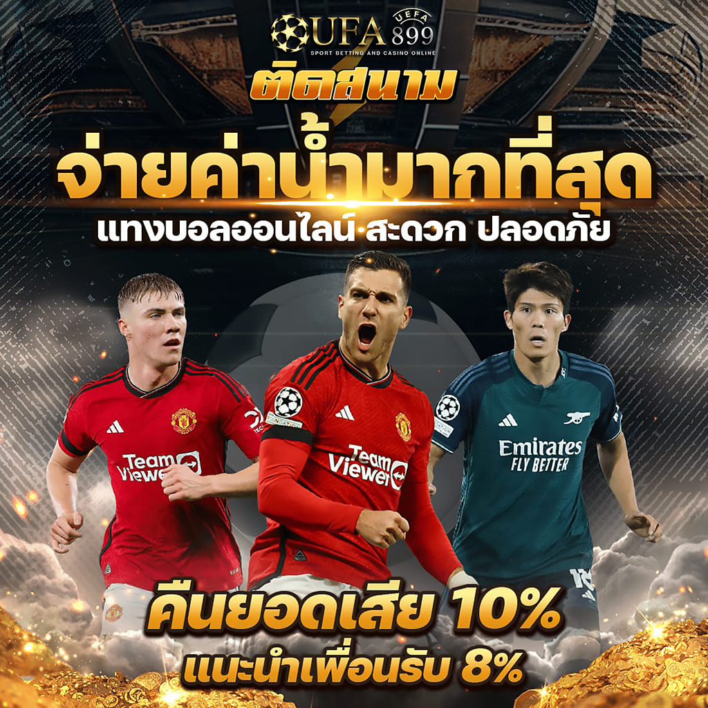 seo优化网站哪家好